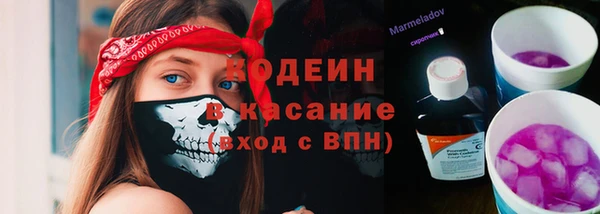 прущие грибы Киренск