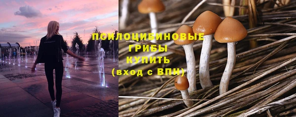 спайс Козельск