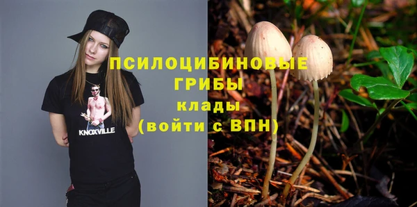 спайс Козельск